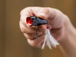 Vmc Shop -Vmc Shop lifestyle splash strikeking 03